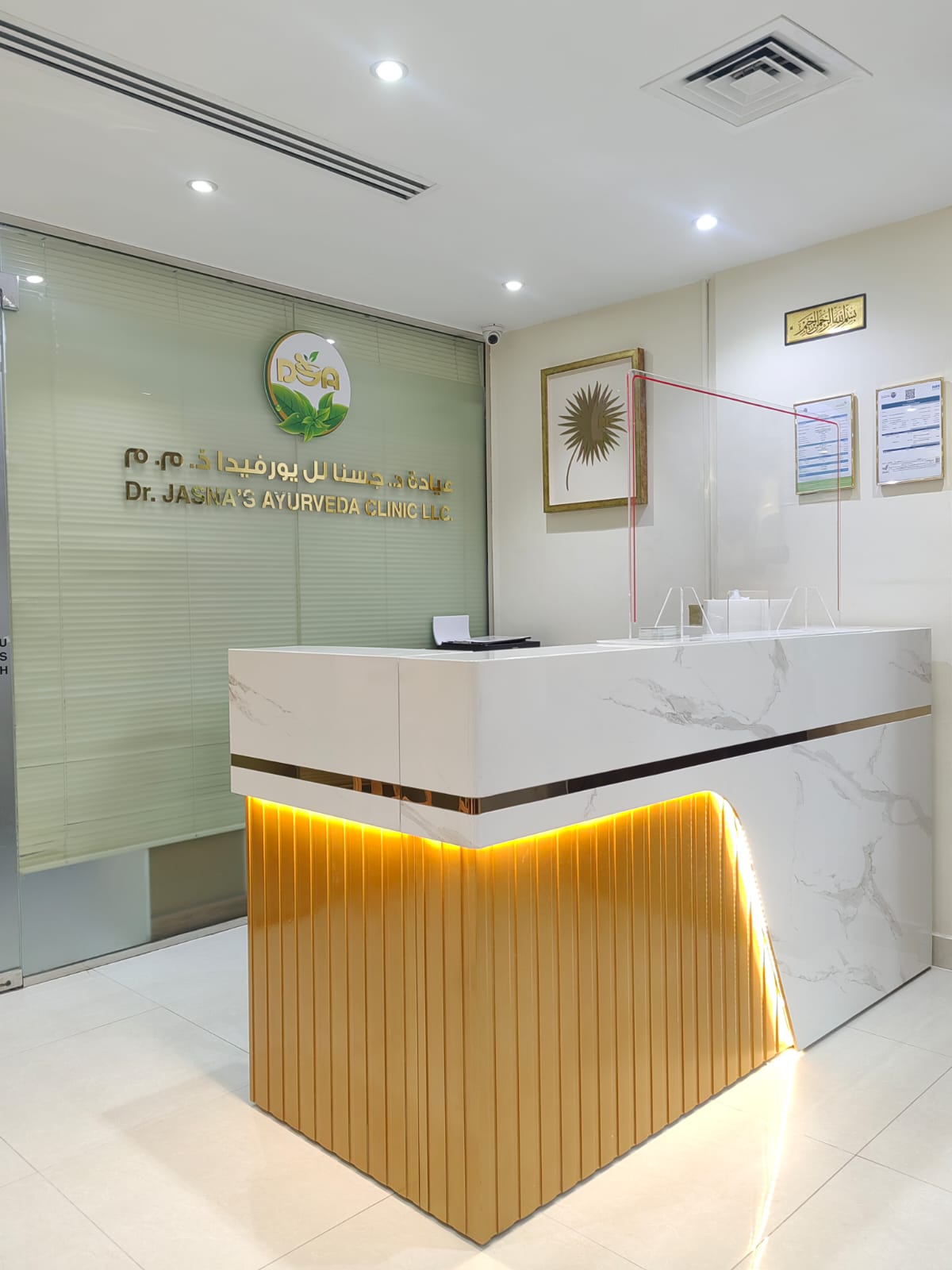 Dr Jasna's Ayurveda Clinic & Treatment Center Dubai — photo 2