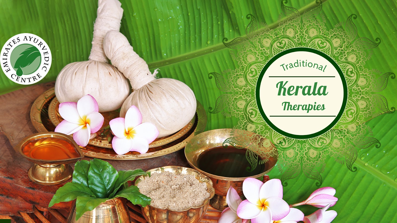 Kottakkal Ayurvedic Treatment Centre — photo 1