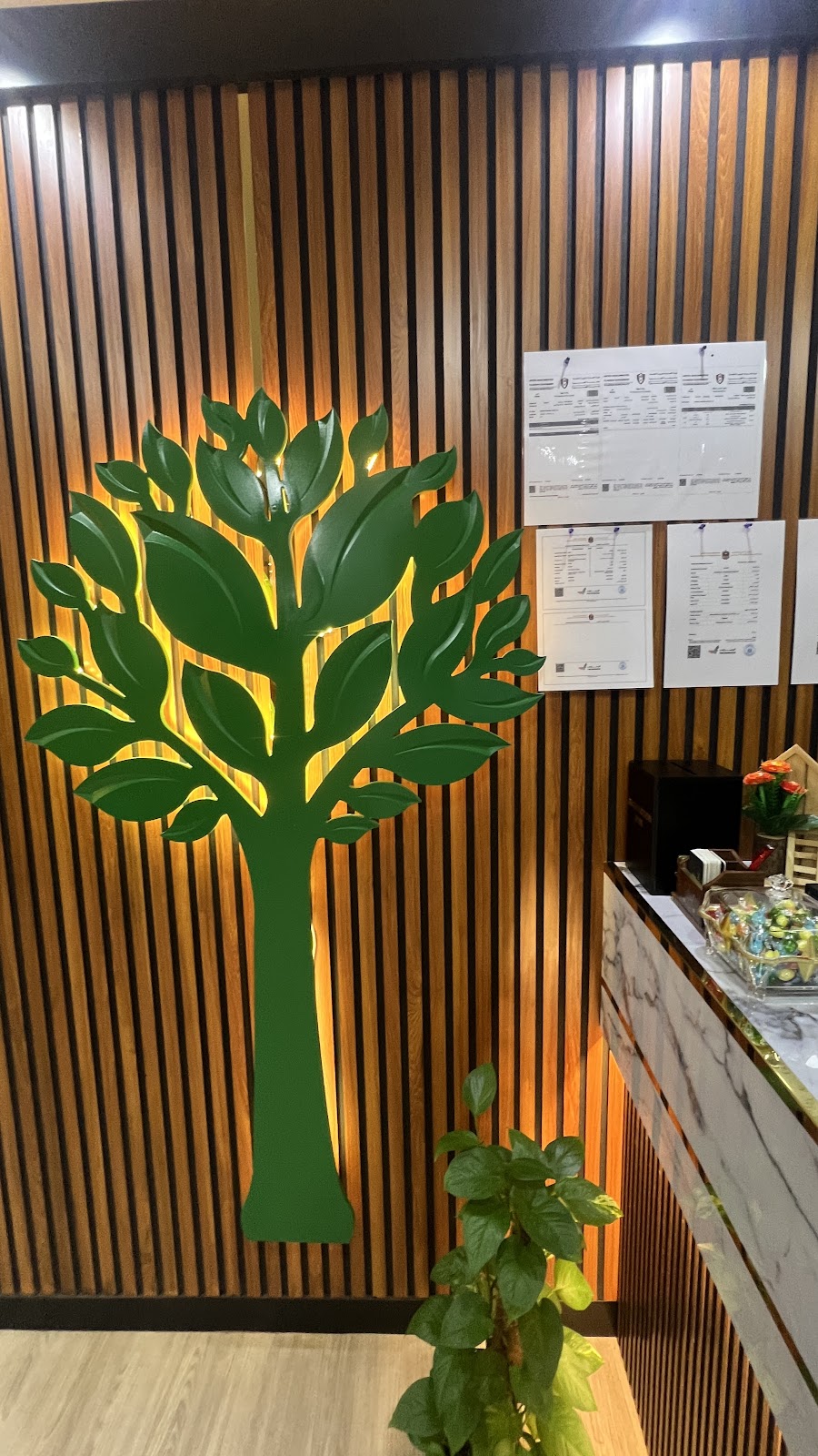 MALABAR AYURVEDA CENTRE FUJAIRAH — photo 1