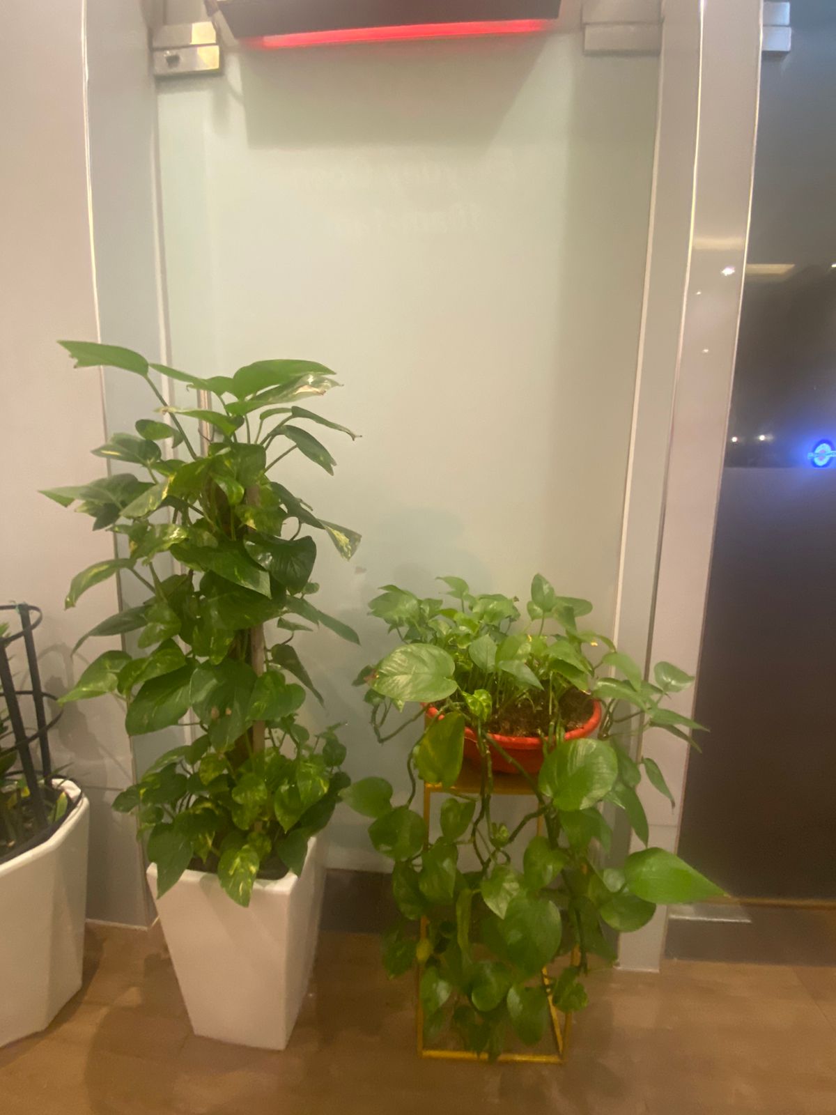 Thai Spa Rak — photo 1
